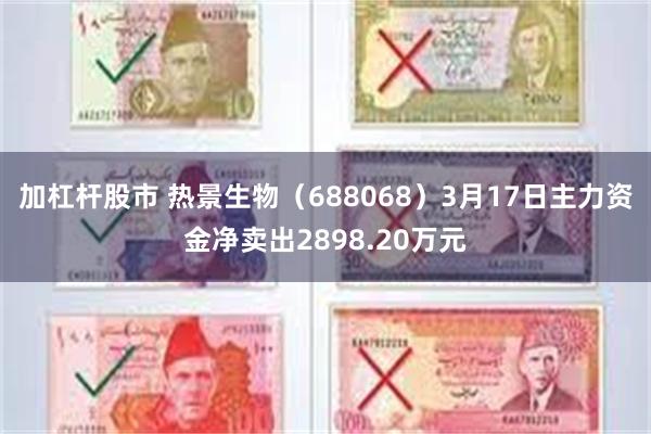 加杠杆股市 热景生物（688068）3月17日主力资金净卖出2898.20万元