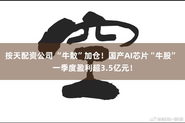 按天配资公司 “牛散”加仓！国产AI芯片“牛股” 一季度盈利超3.5亿元！
