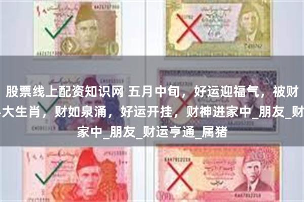股票线上配资知识网 五月中旬，好运迎福气，被财神爷点名的4大生肖，财如泉涌，好运开挂，财神进家中_朋友_财运亨通_属猪