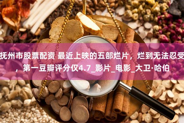 抚州市股票配资 最近上映的五部烂片，烂到无法忍受，第一豆瓣评分仅4.7_影片_电影_大卫·哈伯