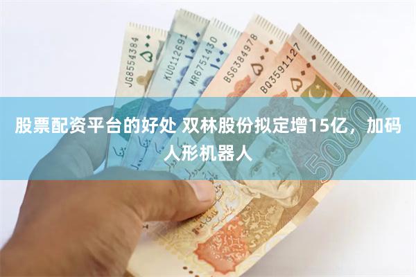 股票配资平台的好处 双林股份拟定增15亿，加码人形机器人