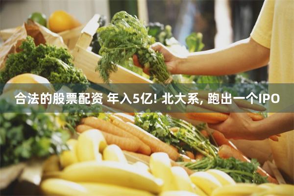 合法的股票配资 年入5亿! 北大系, 跑出一个IPO