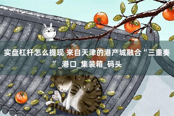 实盘杠杆怎么提现 来自天津的港产城融合“三重奏”_港口_集装箱_码头
