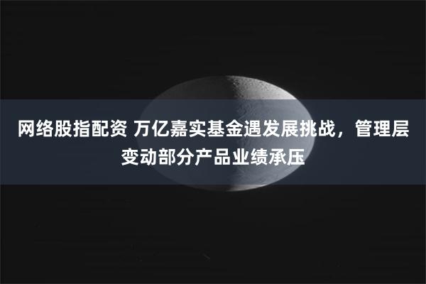 网络股指配资 万亿嘉实基金遇发展挑战，管理层变动部分产品业绩承压