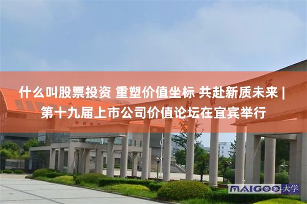 什么叫股票投资 重塑价值坐标 共赴新质未来 | 第十九届上市公司价值论坛在宜宾举行